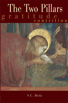 The Two Pillars Front Cover