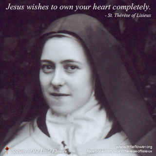 JesusWishesToOwnYourHeart600x600px