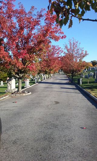 Cemetary