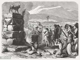 Istockphoto-805187530-170667a