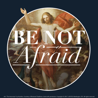 Rlp-17-square-blue-theme-rev