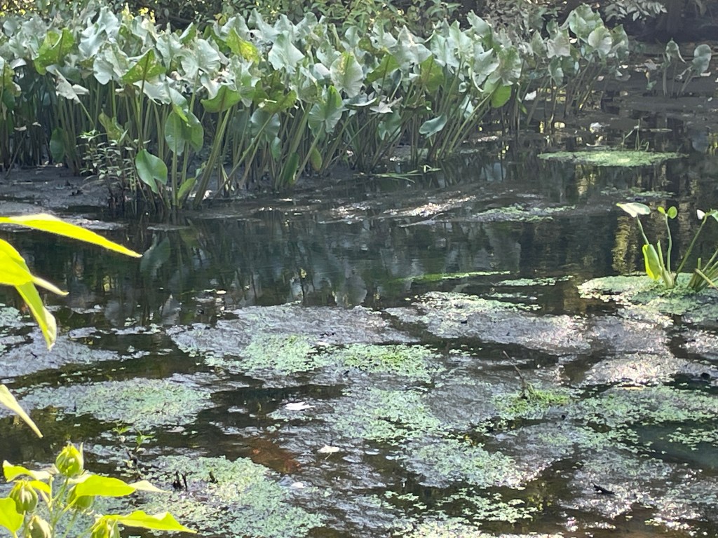 The current image has no alternative text. The file name is: img_3041.jpg